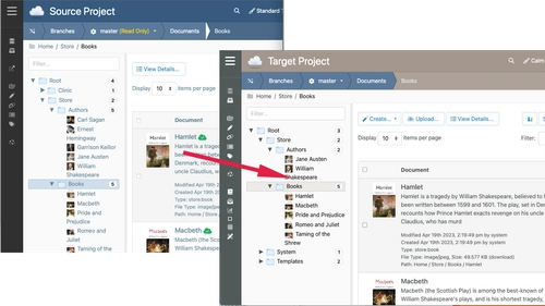 Publish content from a Source Project to a Target Project
