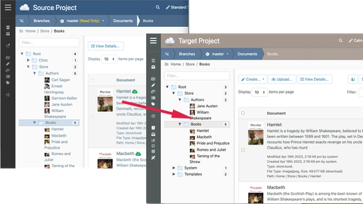 Publish content from a Source Project to a Target Project