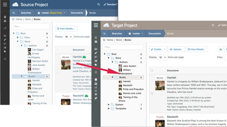 Publish content from a Source Project to a Target Project