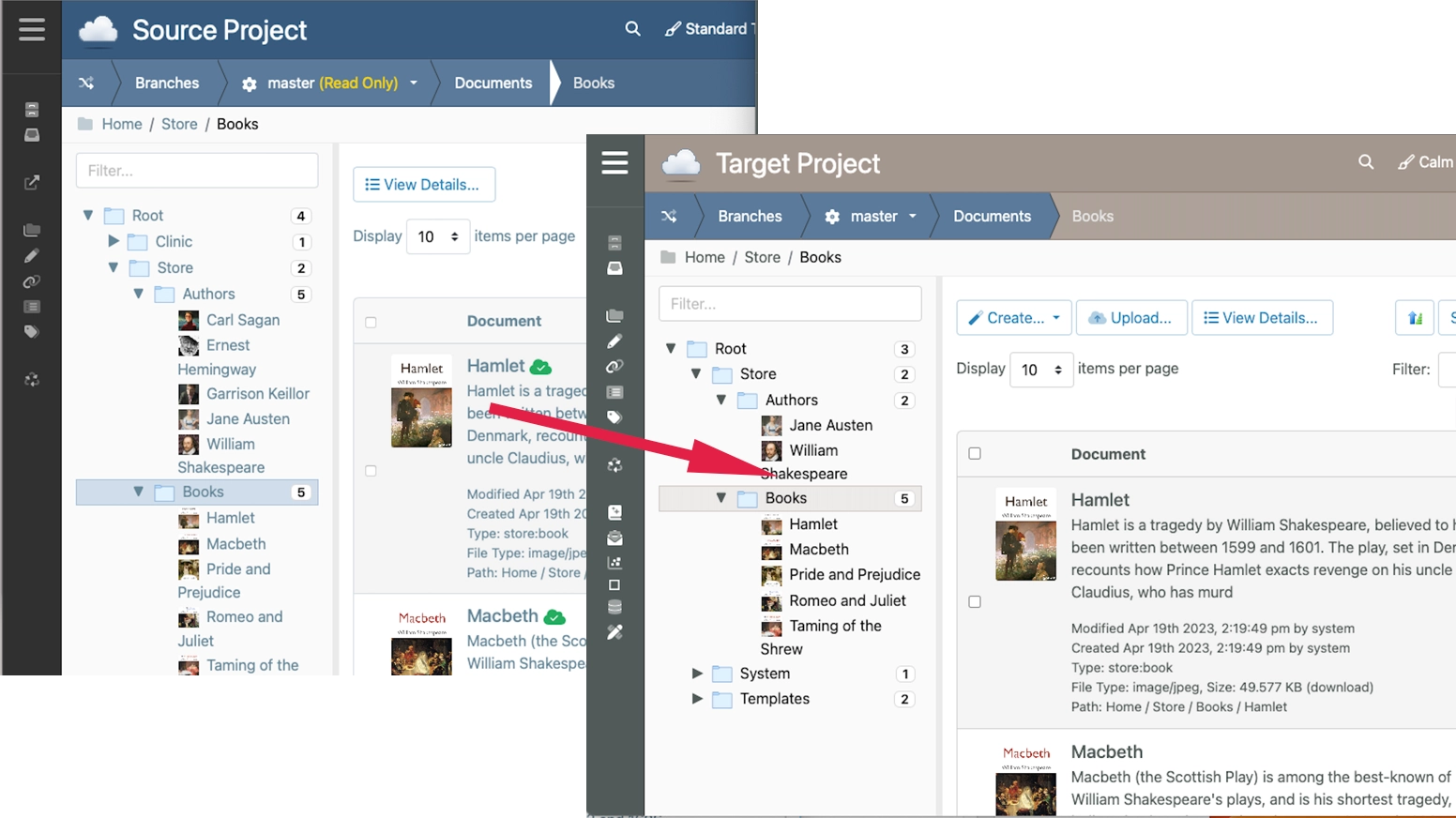 Publish content from a Source Project to a Target Project